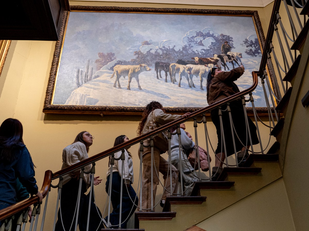 Rafael Torres, director del Museo de Bellas Artes de Valparaíso: «El museo como habitante de la&nbsp;ciudad»